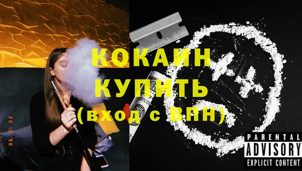 дмт Болохово
