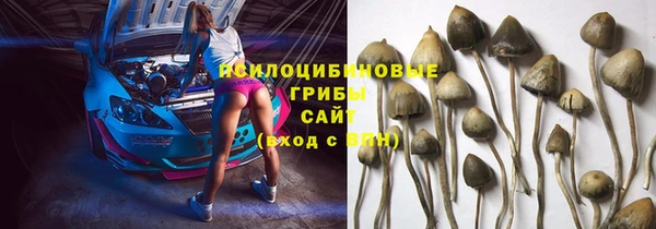 гашиш Болотное